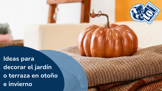 Ideas para decorar el jardín en otoño/invierno 